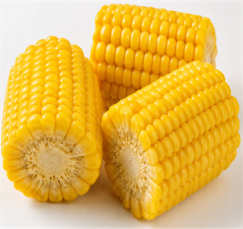 Corn on the Cob (3 Pcs) — Ocean 7 Boiling Seafood & Bar